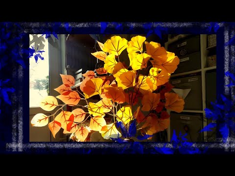 Видео: Моя любимая мастерская   #моякомната #румтур #roomtour