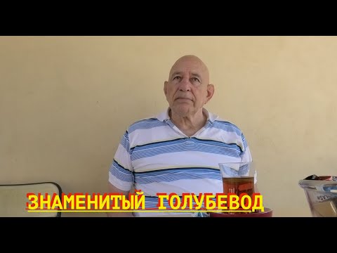 Видео: Легенда Бакинского голубеводства!