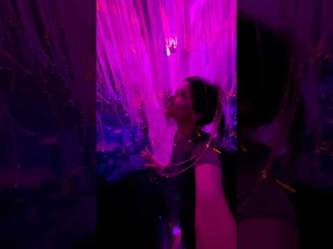 Видео: Эйва услышала 🌳 обожаю фильм «Аватар», обязателен к просмотру! #avatar #аватар