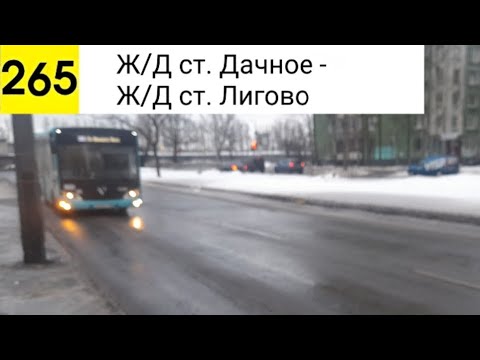 Видео: Автобус 265. Ж/Д ст. Дачное - Ж/Д ст. Лигово