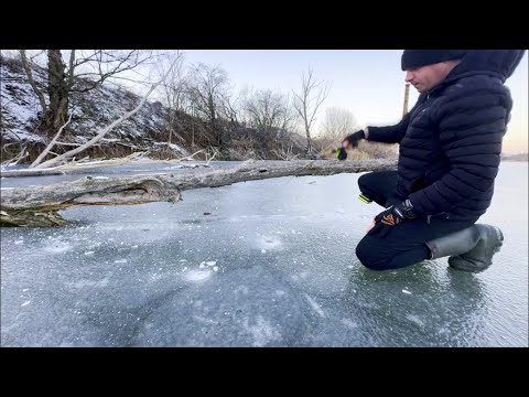 Видео: Дикі Коропи Тирять Вудки На Дикій Водоймі Ловим Коропа 2025