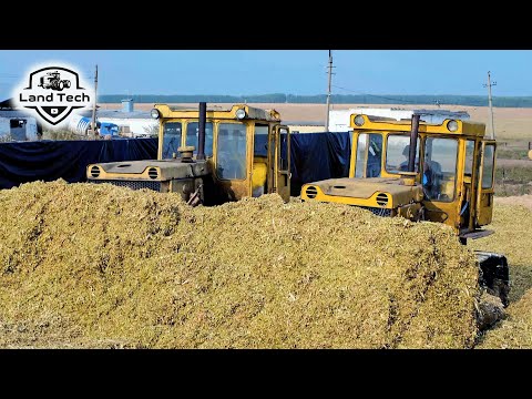 Видео: Советские бульдозеры ЧТЗ Т-130 и Т-170 вдвоем затаскивают силос на яму! Трамбовка силоса!