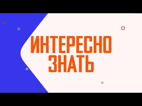 Видео: Интересно знать / Проблема бродячих животных / 30.10.2025
