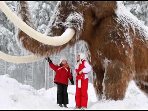 Видео: Старуня. Прихована історія