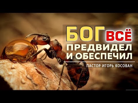 Видео: Проповедь - Бог все предвидел и обеспечил - Игорь Косован