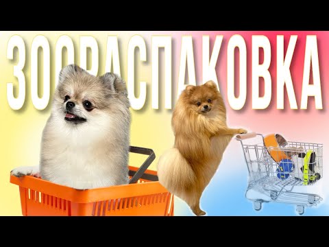 Видео: Распаковка для собак 🐾 Новые игрушки, лежанка, аксессуары… GiGwi & Gamma 🐶