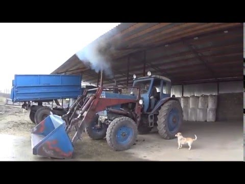 Видео: 12.02.16. Погрузка кукурузы  КАМАЗ-5320 , МТЗ-50+ПКУ-0.8.