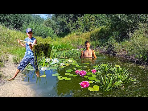 Видео: Подготовка пруда с рыбой на даче к зиме начинается летом!)