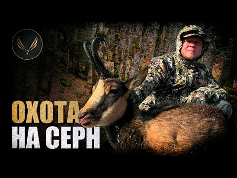 Видео: ГОРНАЯ ОХОТА ВО ФРАНЦИИ | ЧАСТЬ 1 | ОХОТА НА СЕРН И МУФЛОНА | ОХОТА С ДЕНИСОМ МОРОЗОВЫМ
