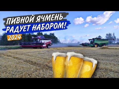 Видео: Начались "гонки" с перегрузчиком на John Deere. Автопилот "НеTrimble" на РСМ-161 умер...