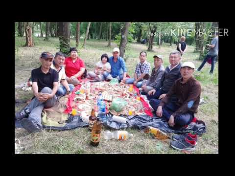 Видео: Мырза-Арык 71