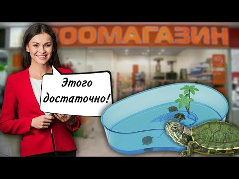 Видео: ПРОДАВЕЦ В ЗООМАГАЗИНЕ НАВРАЛ ПРО СОДЕРЖАНИЕ КРАСНОУХИХ ЧЕРЕПАХ