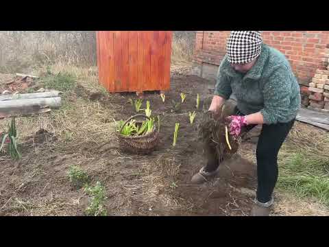 Видео: Из города в село. У Светланы шик, это нужно видеть, только представьте как это скоро будет выглядеть