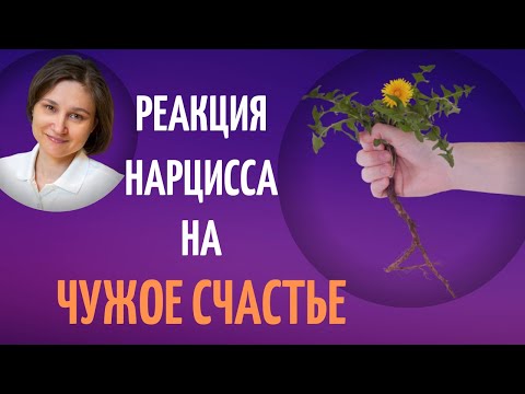 Видео: Реакция нарцисса на ваше счастье.