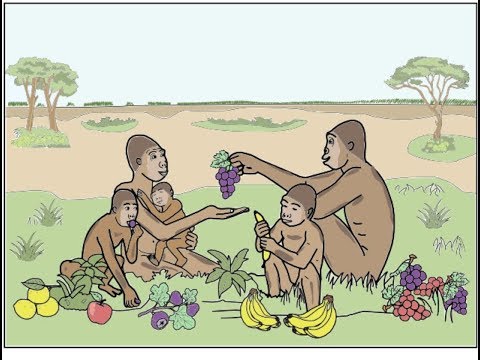 Видео: Появление прямохождения у человека