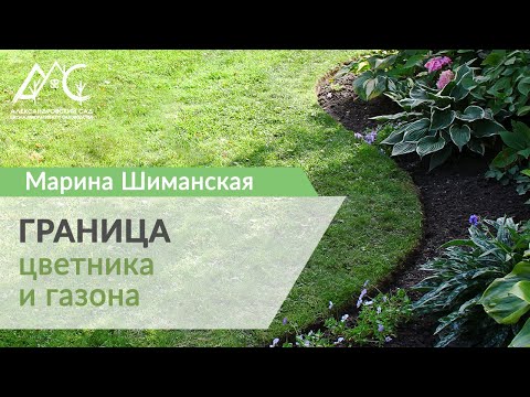Видео: Граница цветника и газона