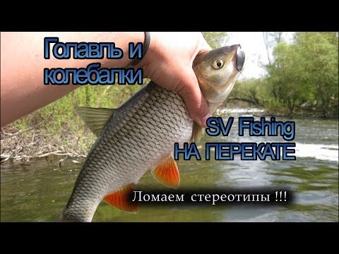 Видео: Голавль на колебалки SV Fishing