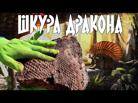 Видео: НАШЛИ ШКУРУ ДРАКОНА | Поиски исчезнувших  тропических лесов Самарской области.