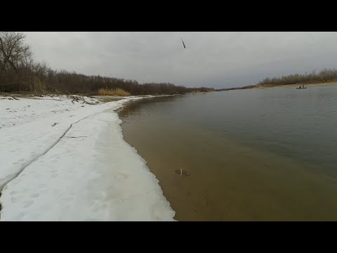 Видео: РЫБАЛКА НА ДОНУ. ОТВОДНОЙ ПОВОДОК РУЛИТ