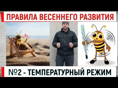 Видео: Температурный режим - золотое правило весеннего развития!