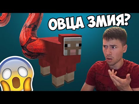 Видео: ИГРАЕМ ЗМИЯТА В МАЙНКРАФТ, НО С ОВЦЕ 🐑