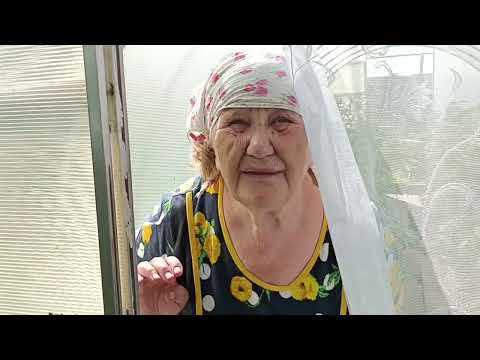 Видео: Выпечка из Русской печи, обзор теплиц,, новое платье.