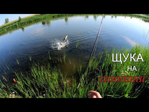 Видео: Ловля щуки летом на воблер малас.
