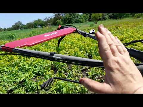 Видео: Мотоблок Weima 1100 С6. Культивация междурядий картошки