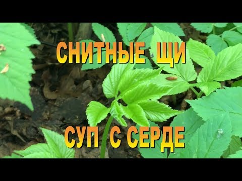 Видео: СЕРДЕЧНЫЙ СУП#СНИТНЫЕ ЩИ#СУП С СЕРДЕ ПО ЧУВАШСКИ