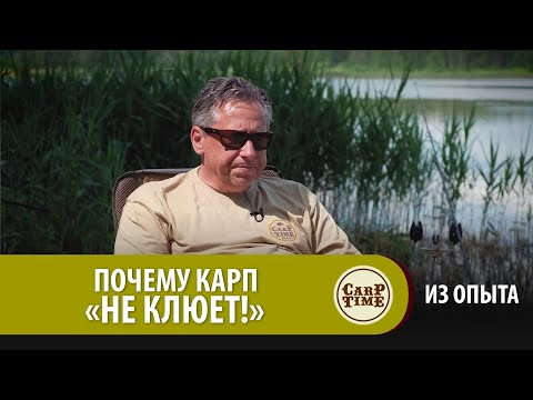 Видео: ПОЧЕМУ КАРП "НЕ КЛЮЕТ"! Карпфишинг по существу с Александром Носовцом  ИЗ ОПЫТА