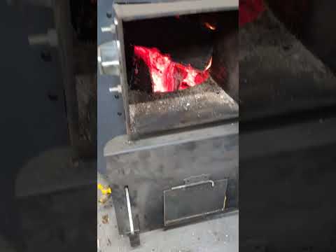 Видео: 19 лютого 2025 р.