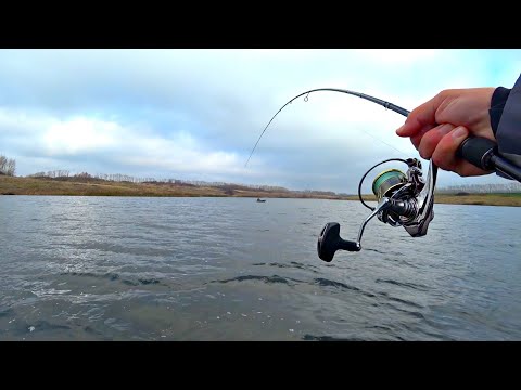 Видео: ОНА ВООБЩЕ НЕ ХОЧЕТ ПОДНИМАТЬСЯ. СПИННИНГ КОЛЕСОМ ОТ ЭТОЙ ЩУКИ. Рыбалка на спиннинг осенью