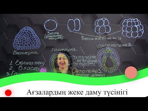 Видео: Ағзалардың жеке даму түсінігі. 7 сынып.