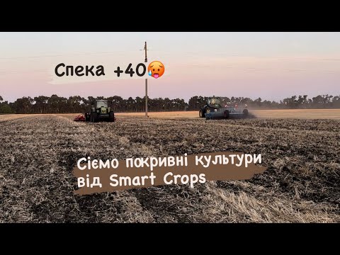 Видео: Продовжуємо експериментувати! Сіємо покривні культури від #smartcrops