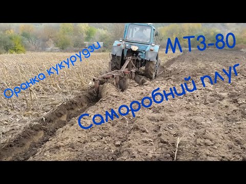 Видео: Оранка кукурудзи .
