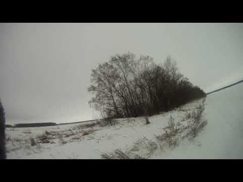Видео: Охота на зайца с эг Фаготом сезон 2023-2024 года заяц Посадочник!