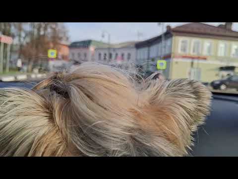 Видео: Субботнее небольшое путешествие в город Егорьевск Московской области. За 101 километр