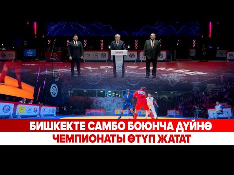 Видео: Бишкекте самбо боюнча дүйнө чемпионаты старт алды