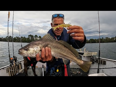 Видео: Рыболовный порт Маккуори, река и океан