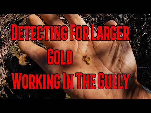 Видео: В поисках более крупного золота я заглянул в крутой овраг.