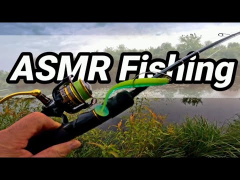 Видео: ASMR FISHING. Рыбалка под шепот природы: релаксирующая прогулка вдоль речных кувшинок🍀