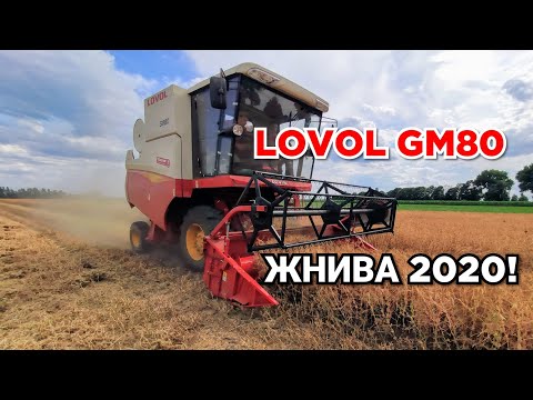 Видео: Уборка 2020! Дешевле СК-5 НИВА? Комбайн LOVOL GM80 убирает горох. Настройка после пшеницы