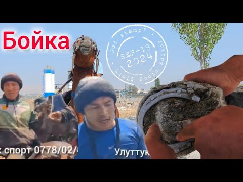 Видео: Бойка