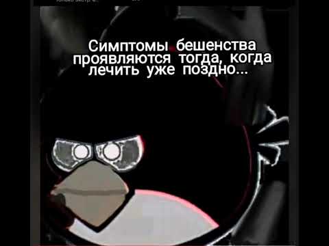 Видео: Ты услышал этот факт - сборник