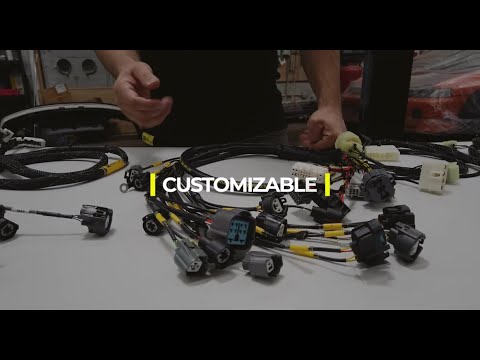 Видео: Основы жгута проводов двигателя Rywire. Как заказать. Идентификация OBD и многое другое!