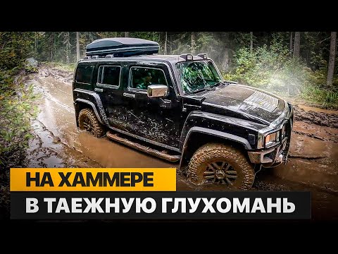 Видео: Лесовозная просека уходящая в никуда - нам туда! Hummer и колея Урала, кто кого? Тайга в Лен.области