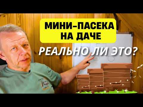 Видео: Мини-пасека на даче: реально ли это? #пасека #пчеловодство 