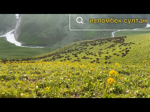 Видео: 9- Кисм Навор барои патписчико 🇹🇯👍 Обуначилар талабига биноан( Заказной👍 )2025 г.
