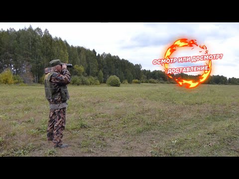 Видео: Досмотр или осмотр