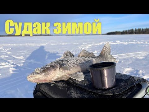 Видео: За судаками. Зимняя рыбалка в Финляндии. Panoptix Livescope.